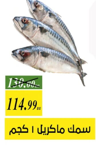 available at جرين تري هايبرماركت - سوهاج in Egypt - القاهرة
