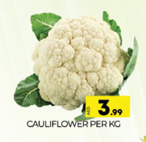 قرنبيط available at المدينة in الإمارات العربية المتحدة , الامارات - دبي