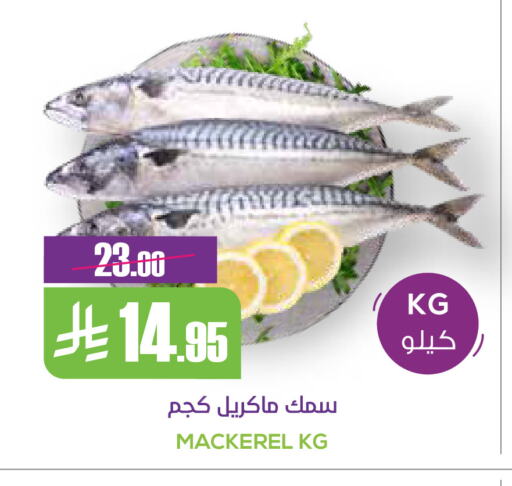 available at Sapt in KSA, Saudi Arabia, Saudi - Buraidah