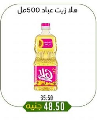 available at Khan Elhussein in Egypt - Cairo