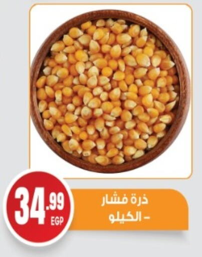 Pulses, Beans & Grains in El mhallawy Sons, Egypt Offers - Egypt available at El mhallawy Sons in Egypt - Cairo