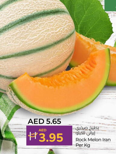 شمام from Iran available at لولو هايبرماركت in الإمارات العربية المتحدة , الامارات - ٱلْعَيْن‎