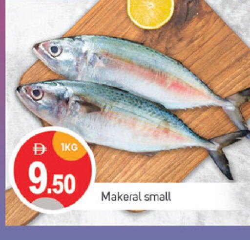 Fresh Fish in TALAL MARKET, UAE Offers - United Arab Emirates available at TALAL MARKET in UAE - Sharjah / Ajman