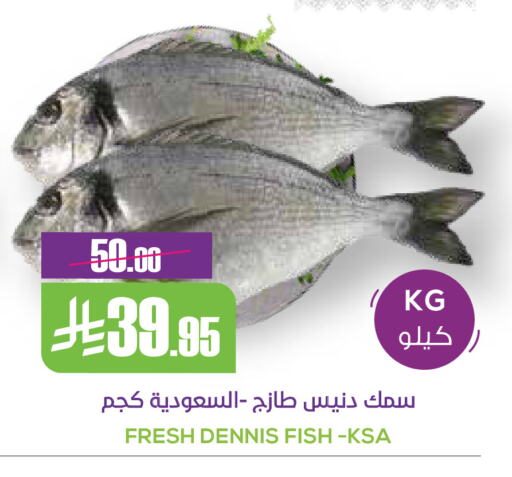 available at Sapt in KSA, Saudi Arabia, Saudi - Buraidah