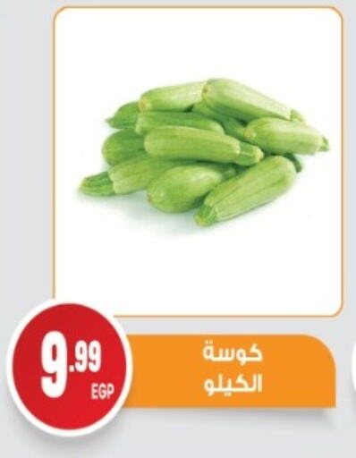 Zucchini available at El mhallawy Sons in Egypt - Cairo