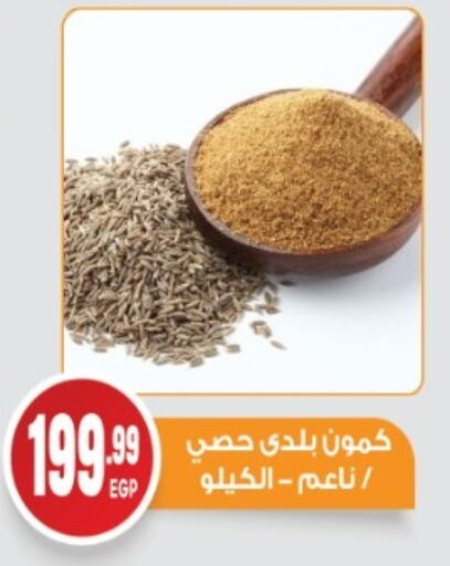 Pulses, Beans & Grains in El mhallawy Sons, Egypt Offers - Egypt available at El mhallawy Sons in Egypt - Cairo