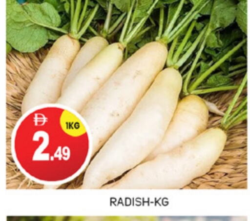 Radish available at TALAL MARKET in UAE - Abu Dhabi