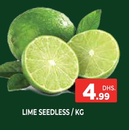 الخضروات الطازجة in اينس المدينة هايبرماركت, UAE Offers - الإمارات العربية المتحدة available at اينس المدينة هايبرماركت in الإمارات العربية المتحدة , الامارات - الشارقة / عجمان