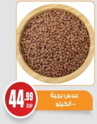 Pulses, Beans & Grains in El mhallawy Sons, Egypt Offers - Egypt available at El mhallawy Sons in Egypt - Cairo