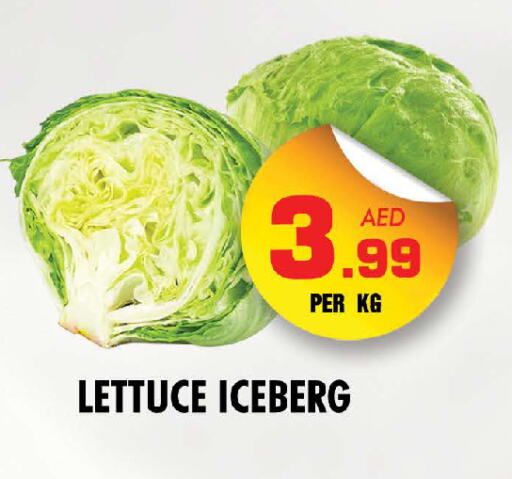 Lettuce available at NIGHT TO NIGHT DEPARTMENT STORE in UAE - Dubai