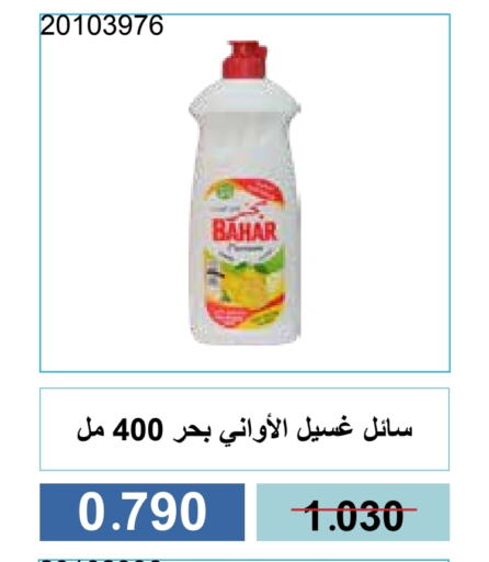 بهار available at جمعية مشرف التعاونية in الكويت - مدينة الكويت
