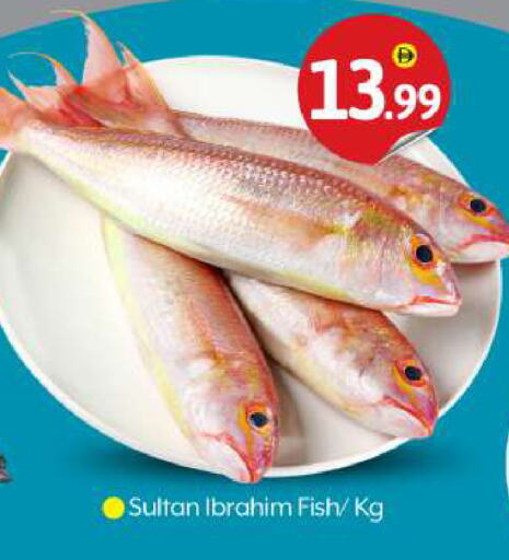 available at BIGmart in UAE - Dubai