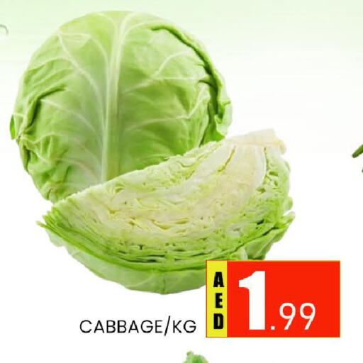 Cabbage available at AL MADINA (Dubai) in UAE - Dubai