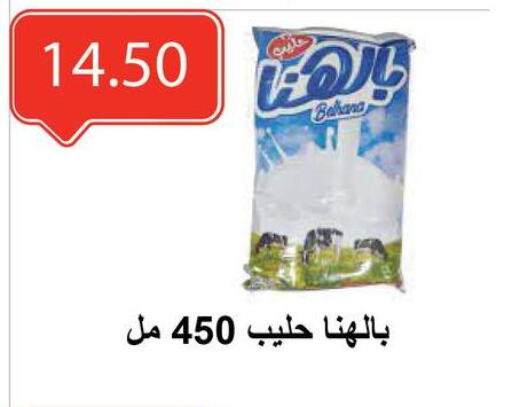 Powdered & Condensed Milk in El-Hawary Market, Egypt Offers - Egypt available at El-Hawary Market in Egypt - Cairo