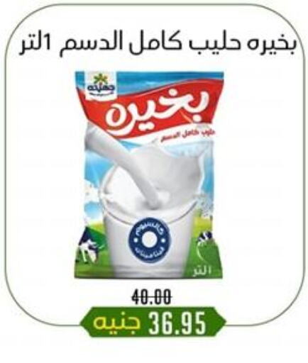 available at Khan Elhussein in Egypt - Cairo
