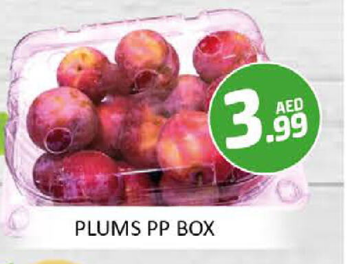 Plums available at Al Madina  in UAE - Dubai
