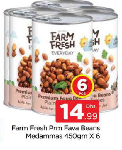 Fava Beans available at AL MADINA (Dubai) in UAE - Dubai