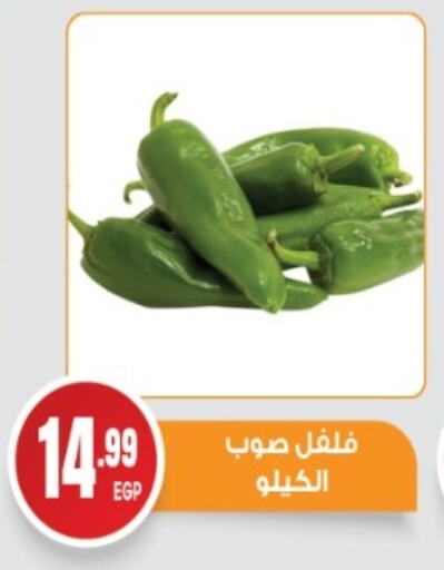 Chilli / Capsicum available at El mhallawy Sons in Egypt - Cairo