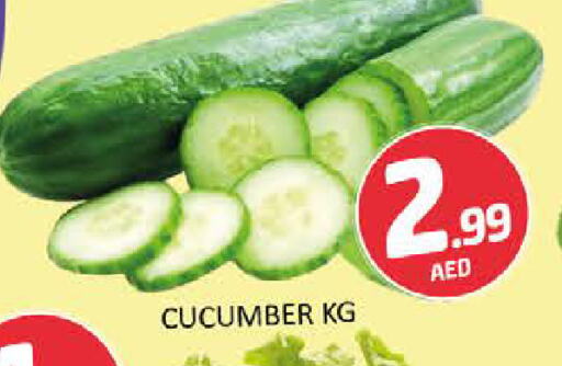 Cucumber available at Al Madina  in UAE - Dubai