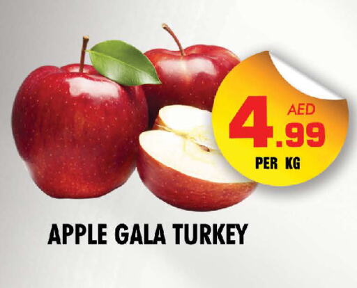 Apples from Turkey available at NIGHT TO NIGHT DEPARTMENT STORE in UAE - Sharjah / Ajman