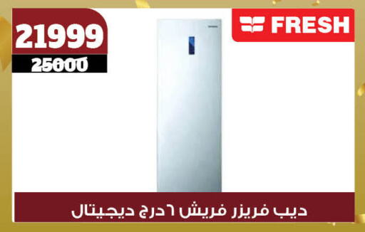 Freezer available at Koko & S in Egypt - Cairo