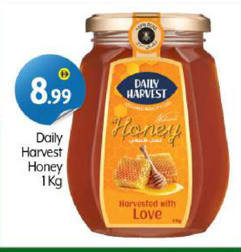 Sauces & Spreads in BIGmart, UAE Offers - United Arab Emirates Honey available at BIGmart in UAE - Dubai
