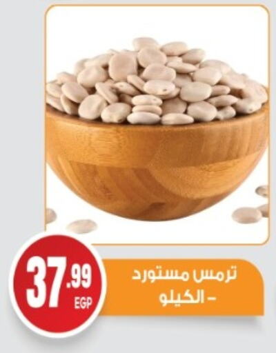 البقول، الفول والحبوب in أولاد المحاوى, Egypt Offers - Egypt available at أولاد المحاوى in Egypt - القاهرة