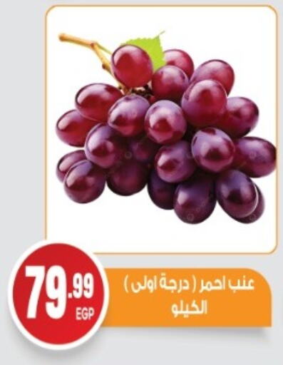 Fresh Fruits in El mhallawy Sons, Egypt Offers - Egypt Grapes available at El mhallawy Sons in Egypt - Cairo