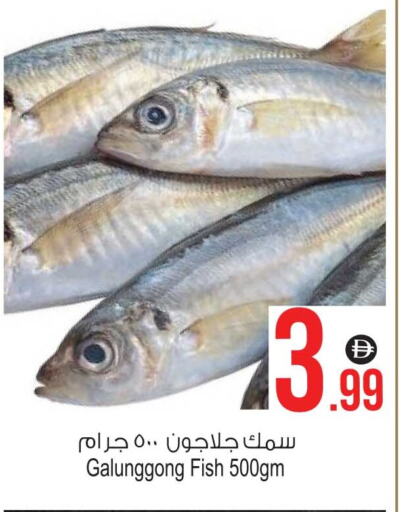 available at Ansar Mall in UAE - Sharjah / Ajman