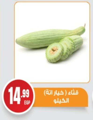 Cucumber available at El mhallawy Sons in Egypt - Cairo