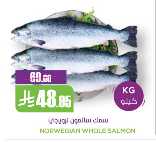 available at سبت in مملكة العربية السعودية, السعودية, سعودية - بريدة