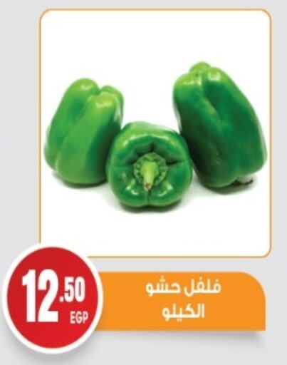 Chilli / Capsicum available at El mhallawy Sons in Egypt - Cairo