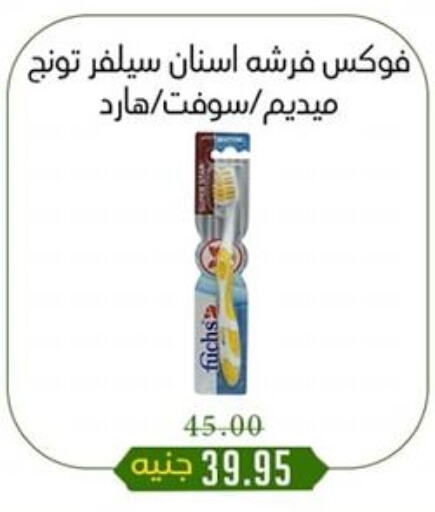 available at Khan Elhussein in Egypt - Cairo