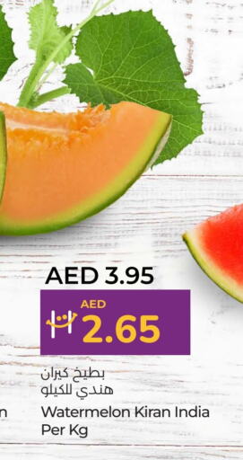 Watermelon from India available at لولو هايبرماركت in الإمارات العربية المتحدة , الامارات - أبو ظبي