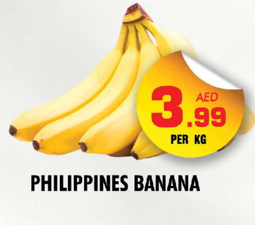 موز from Philippines available at نايت تو نايت in الإمارات العربية المتحدة , الامارات - دبي