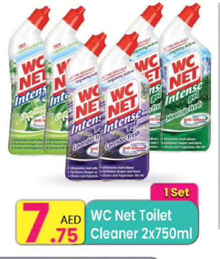 منظف المرحاض / البالوعة available at مركز كل يوم in الإمارات العربية المتحدة , الامارات - رَأْس ٱلْخَيْمَة