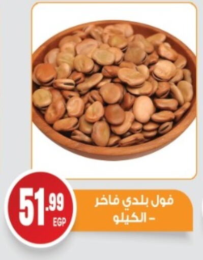 Pulses, Beans & Grains in El mhallawy Sons, Egypt Offers - Egypt available at El mhallawy Sons in Egypt - Cairo