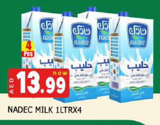 NADEC available at AL MADINA (Dubai) in UAE - Dubai