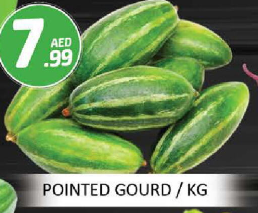 Gourd available at Mango Hypermarket LLC in UAE - Dubai