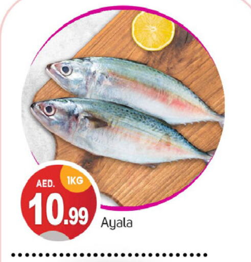 الأسماك الطازجة in سوق طلال, UAE Offers - الإمارات العربية المتحدة available at سوق طلال in الإمارات العربية المتحدة , الامارات - دبي
