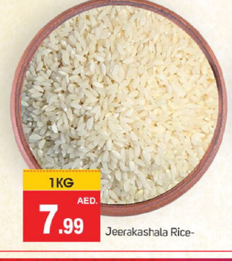 أرز جيراكاسالا available at سوق طلال in الإمارات العربية المتحدة , الامارات - الشارقة / عجمان
