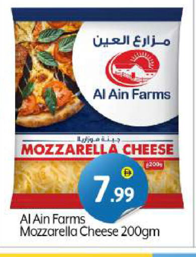 Cheese & Cream in BIGmart, UAE Offers - United Arab Emirates AL AIN Mozzarella available at BIGmart in UAE - Dubai