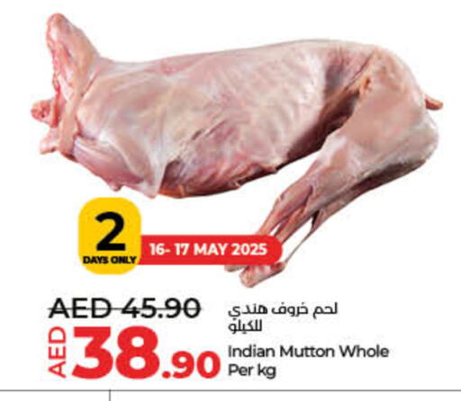 لحم الضأن / الغنم available at لولو هايبرماركت in الإمارات العربية المتحدة , الامارات - ٱلْفُجَيْرَة‎