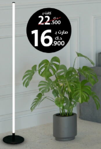 available at المنزل in الكويت - محافظة الأحمدي