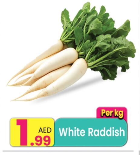 available at Everyday Center in UAE - Dubai