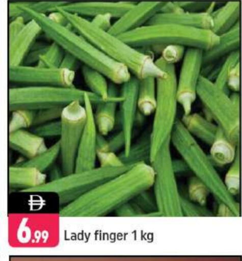 بامية available at شكلان ماركت in الإمارات العربية المتحدة , الامارات - دبي