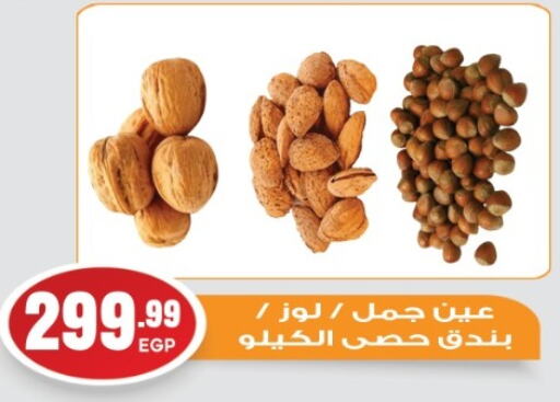 Dried Fruits & Dates in El mhallawy Sons, Egypt Offers - Egypt available at El mhallawy Sons in Egypt - Cairo