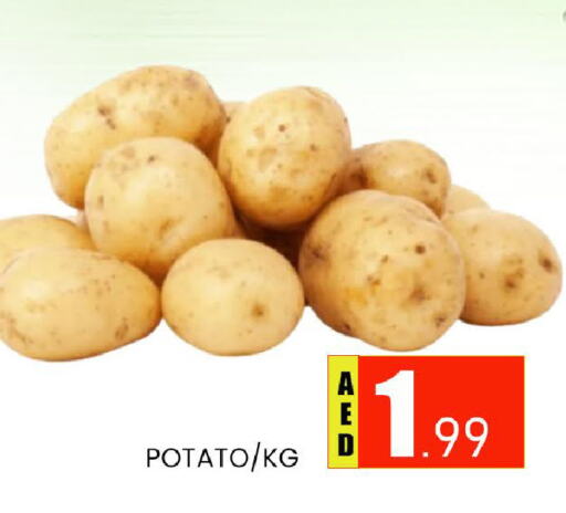 Potato available at AL MADINA (Dubai) in UAE - Dubai