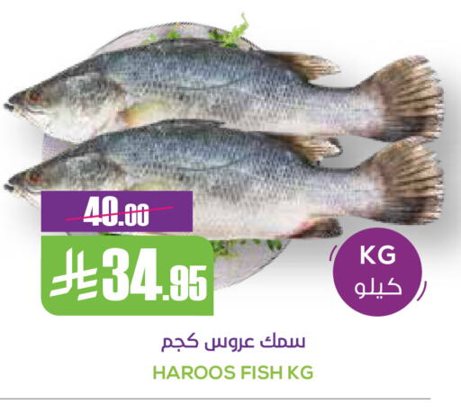 available at Sapt in KSA, Saudi Arabia, Saudi - Buraidah