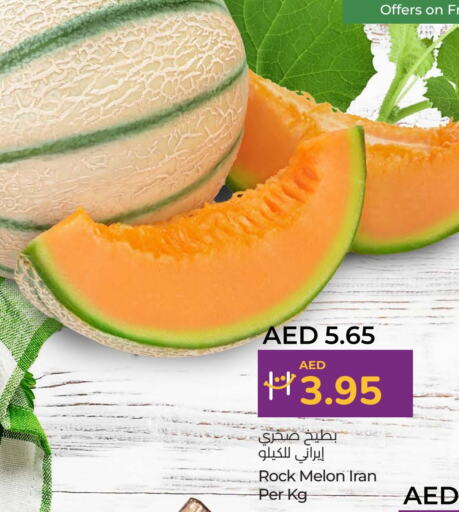 شمام from Iran available at لولو هايبرماركت in الإمارات العربية المتحدة , الامارات - رَأْس ٱلْخَيْمَة